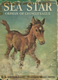 Image of Sea Star: Orphan of Chincoteague