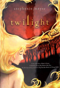 Image of twilight