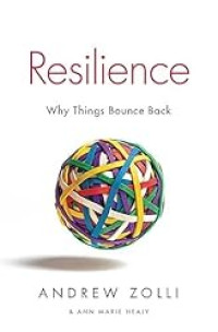 Image of Resilience: Why Things Bounce Back