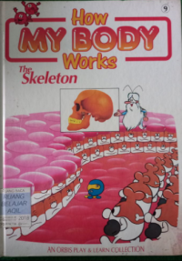 Image of How my body works The skeleton