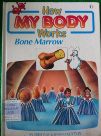 Image of HowBODY WORKS Bone marrow