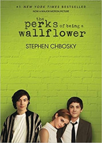 Image of The Perks of Being a Wallflower